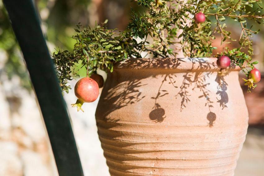 Kástellos Agathes Traditional Houses מראה חיצוני תמונה